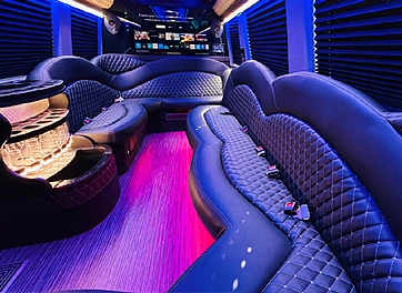 sf luxury sprinter van