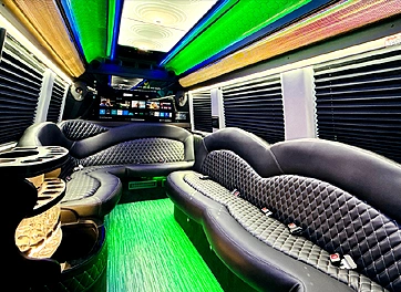 sf luxury sprinter van